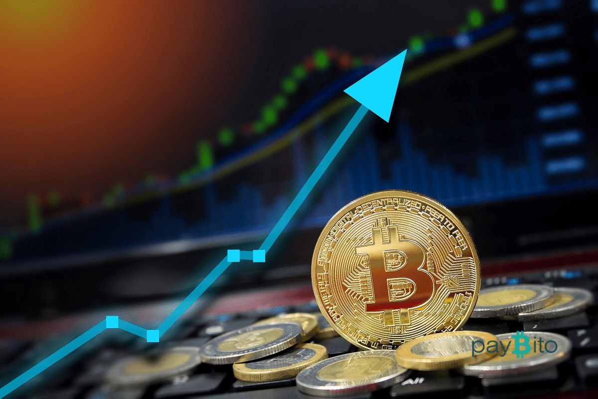 قرار هام من أكبر منصة تداول عملات رقمية في العالم يدفع السوق لارتفاع جنوني